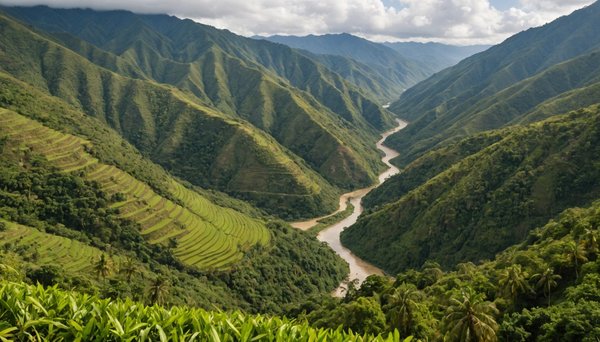 Découvrez nuquí, la perle cachée de la colombie